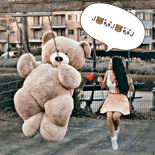 🐻🐼🐻BANIM ARQADOSHLARIM🐻🐼🐻