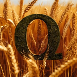 ФЕРМАЛОГИЯ CS2 🌾