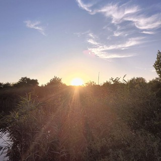 уДАЧная жизнь