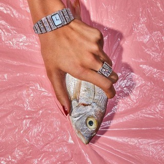 Модная скумбрия