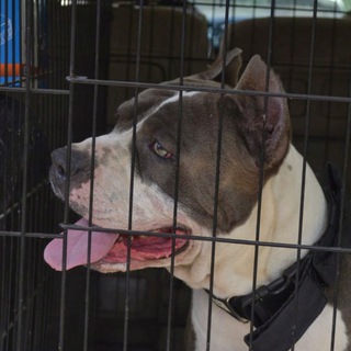 фб от Хасана