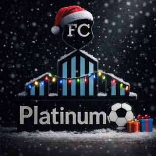FC «PLATINUM»