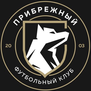 ФК «Прибрежный» - детский футбольный клуб в Омске