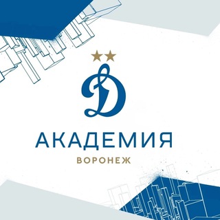 Воронеж – Академия «Динамо» им. Л.И. Яшина