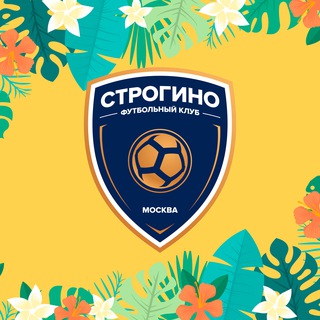 ФК «Строгино»