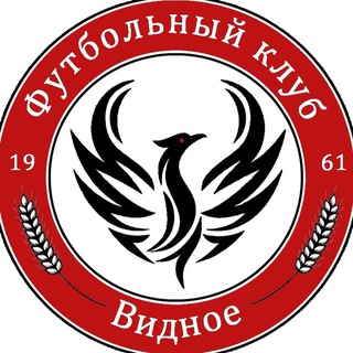 Футбольный клуб «Видное»