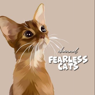 бесстрашные котикиᶜʰᵃᶰᶰᵉᶫ🐈‍⬛️