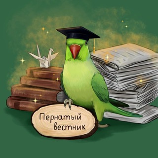 Пернатый вестник