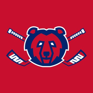 ЯООО «Федерация хоккея»