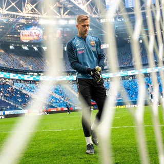 Друзья Федотова