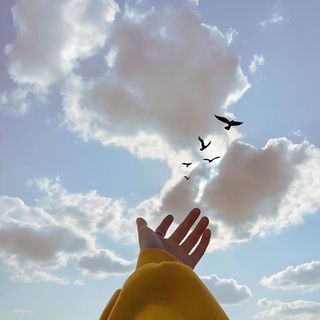 Чувствуя жизнь 💕 Мотивация | Саморазвитие