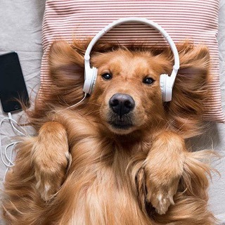 Female metal (заметки)