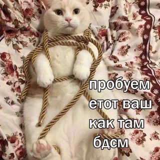 Верхние Мемасы