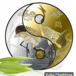 Феншуй и БаЦзы от Юлии Симаковой: улучшаем жизнь с китайской метафизикой☯