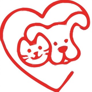 ❤️ФЕНИКС❤️ - помощь бездомным животным (Нижний Новгород и область).