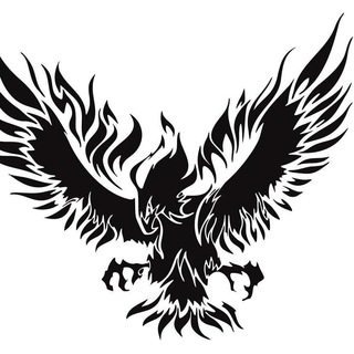 Fenix | Водители и курьеры Яндекс.Про