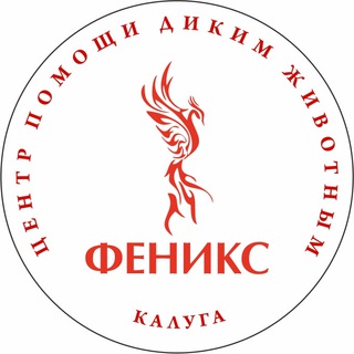 Феникс дикие животные