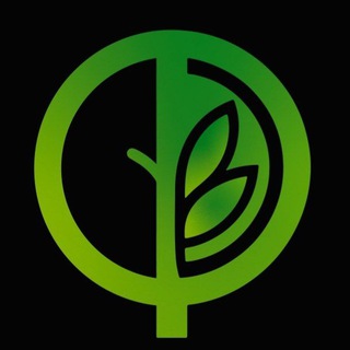 ФЕРМА МИКРОЗЕЛЕНИ🌱 САРАТОВ ЭНГЕЛЬС