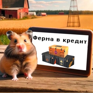 HLS | Ферма в кредит CS2