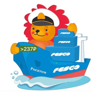 Инвесторы ДВМП