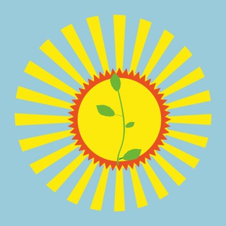 Федерация детских организаций Самарской области