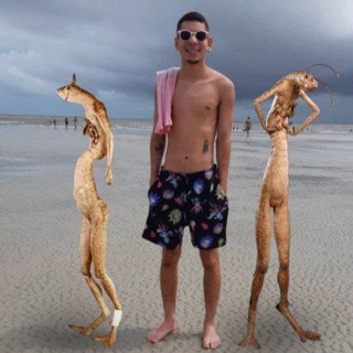 Obrigado pelos peixes - Agora é do Fred