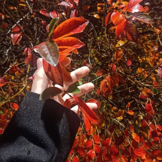 Перезагрузка