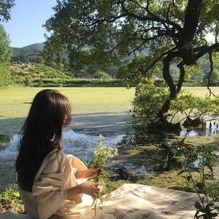 ⁺𝗳𝗳𝗶𝗹𝗶𝗲𝗿⁺⊹🦎