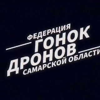 Федерация гонок дронов Самарской области