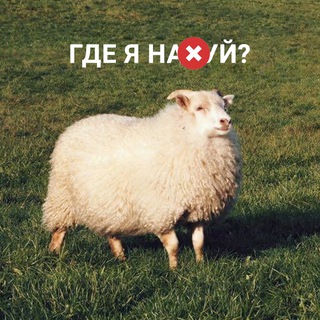 TRAVEL Блог «ГДЕ Я НАХ#Й?»