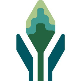 Фикусовая ферма