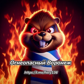 Огнеопасный Воронеж🔥⚽️