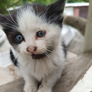 Гибкость и крутизна