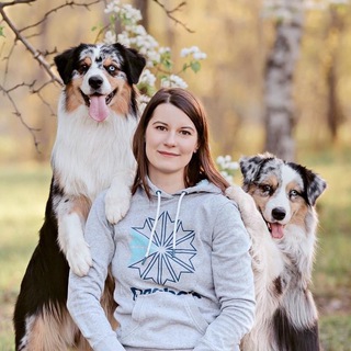 Школа дрессировки