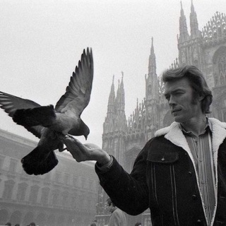 Про КИНО - все, что волнует