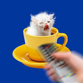 Я налью чай, включай