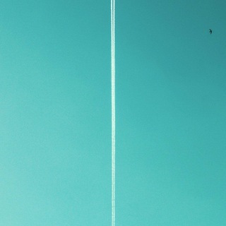 Философия Жизни