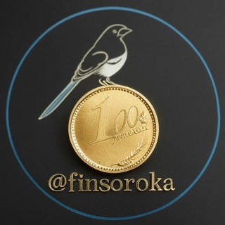 finsorok | инвестиции и бизнес-мотивация