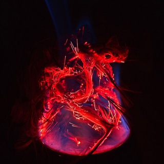Пробуждение У Костра