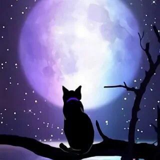 Отзывы/прайс | fire script