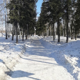 Экскурсии по Сибири и Алтаю от ТА "Мозаика"