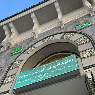 Стремящийся к знаниям 🇵🇸