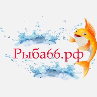 Рыба66.рф Екатеринбург 🌊