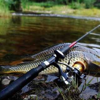 Мир рыбака🎣