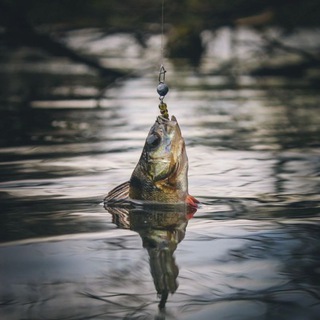 Рыбалка На Волге🎣
