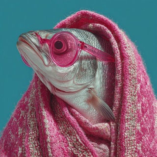 житие селедки