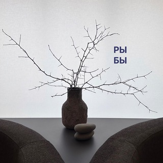 ПРОЕКТ РЫБЫ