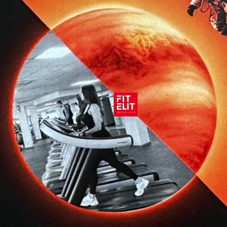 Сплетни FIT ELIT