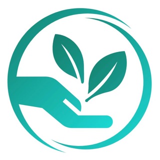 Fito Stor - Фито студия дизайна