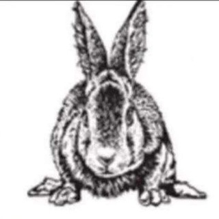 Пять квадратов [postshit edition]